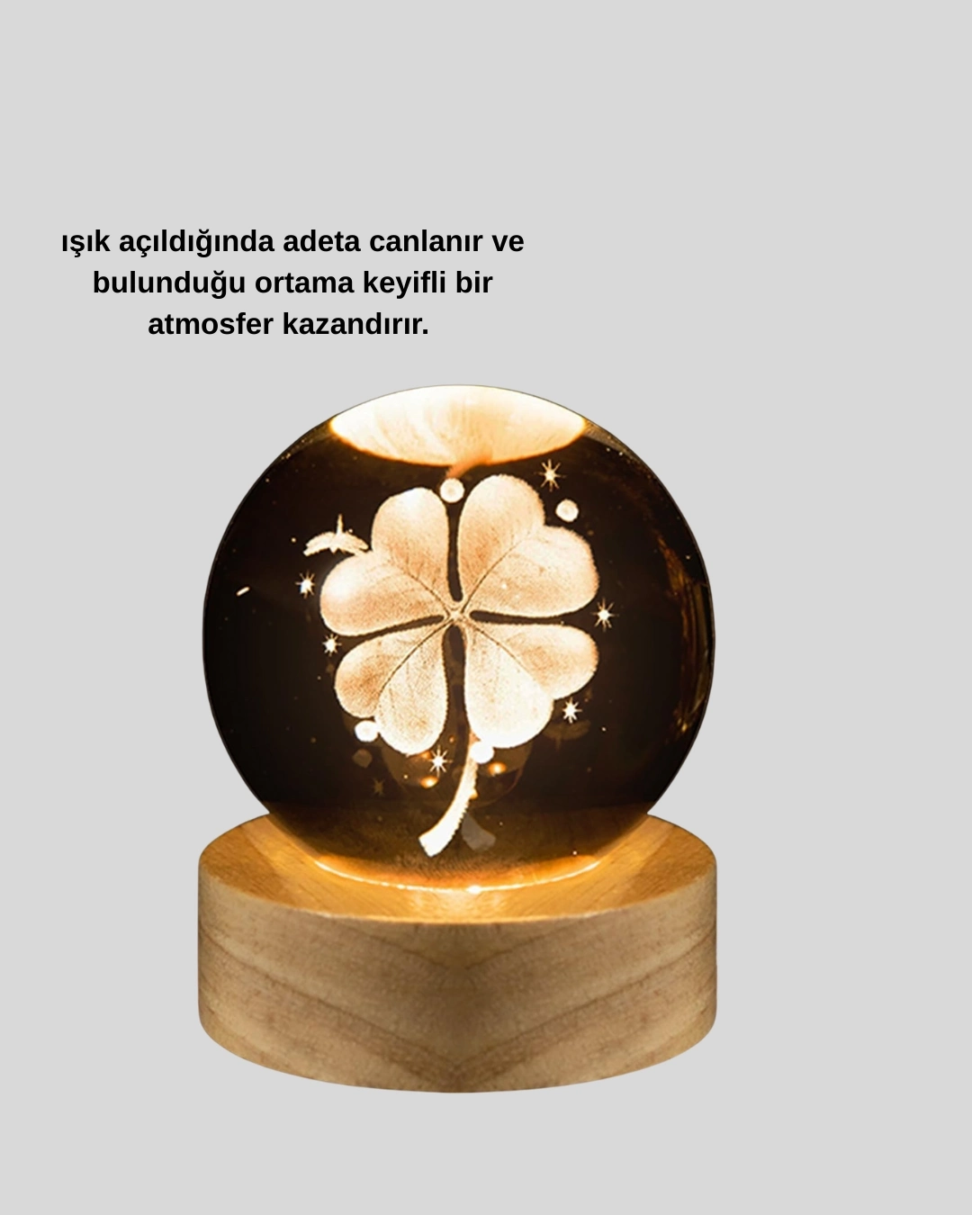BUĞZ Yonca Bitki Figürlü LED Işıklı Cam Küre USB Ahşap Standlı Gece Lambası
