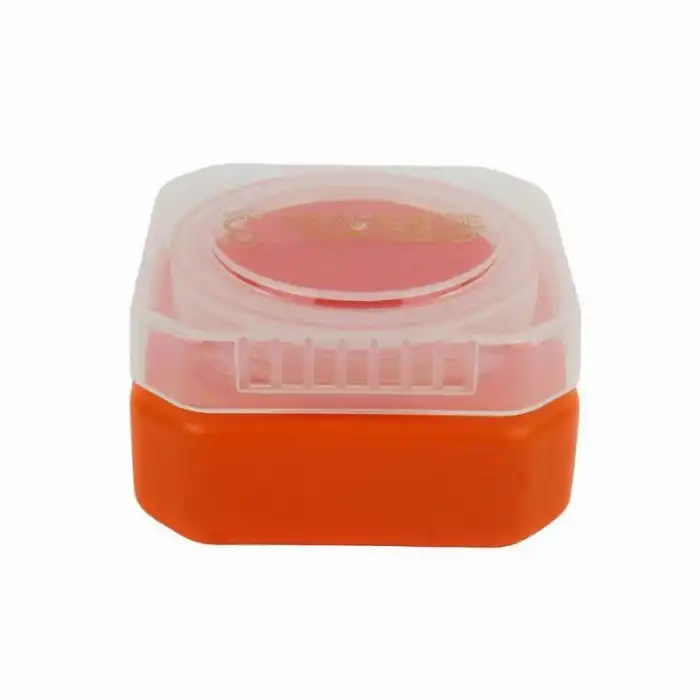 Sea Horse Sızdırmaz Yem Kutusu Medium