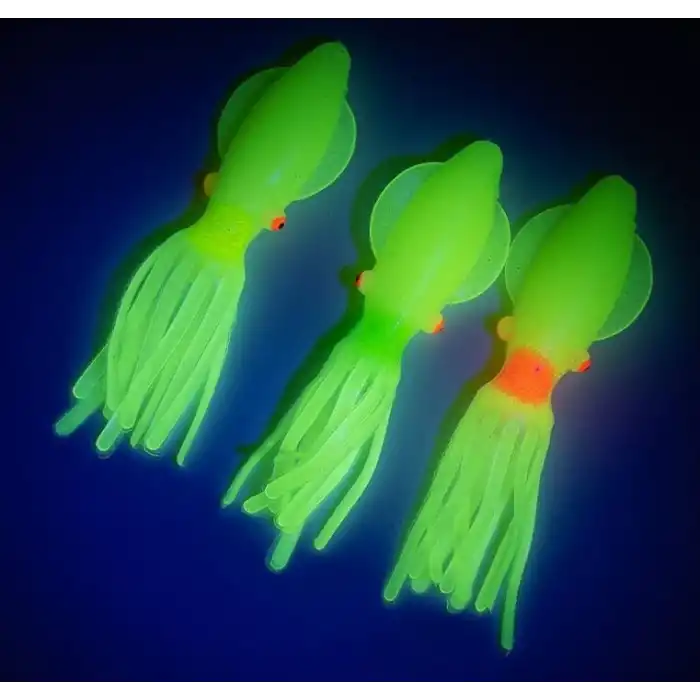 Solid squid 7cm 6pack