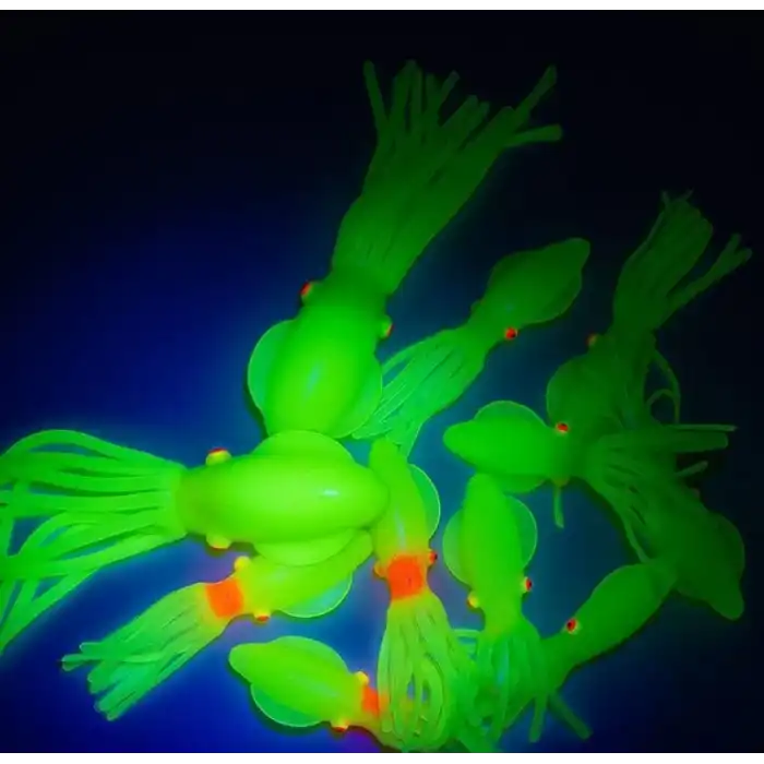 Solid squid 7cm 6pack