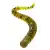 Lucky John King Leech 2 (5 cm) 9 Adet