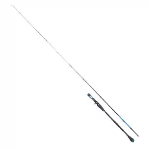 RYUJI SEAHUNTER CA 2.06M 80-300GR 2P JIG KAMIŞ (TETİKLİ)