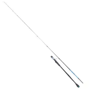 RYUJI SEAHUNTER SP 2.06M 80-300GR 2P JIG KAMIŞ