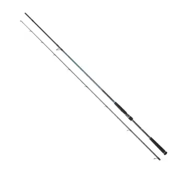 DAIWA CALDIA SEABASS 2.52M 5-21GR 2P KAMIŞ