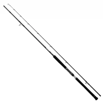 DAIWA DRAGGER SX 3.05M, LURE MAX 100GR, JIG MAX 130 GR, 2P SHORE JIG KAMIŞ