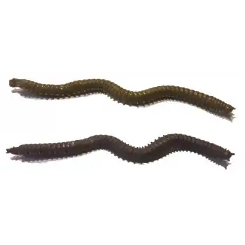 Fladen Vermz Kum Solucanı 9.5 cm 15P