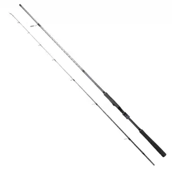 RYUJI ARES X 2.40M 9-45GR, 2P SPIN KARBON KAMIŞ