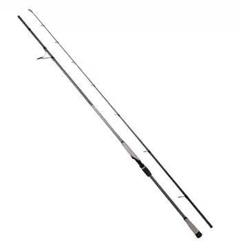 RYUJI MATRIX FUJI 3.00M 30-100 GR 2P SHORE JIG KAMIŞ