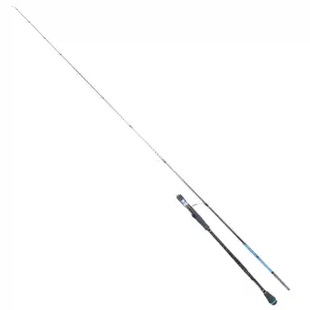 RYUJI SEAHUNTER SP 2.06M 80-300GR 2P JIG KAMIŞ