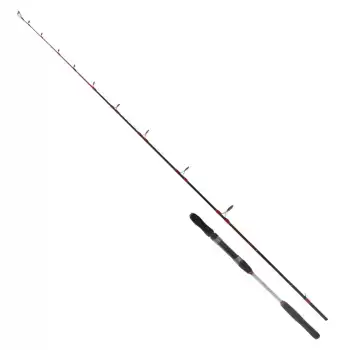 Ryuji Searider 1.80m 60-180gr 2P Jig Kamış