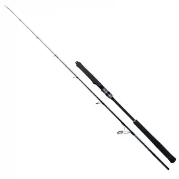 Ryuji Seawolf 1.98m 150-250gr 2P Jig Olta Kamışı