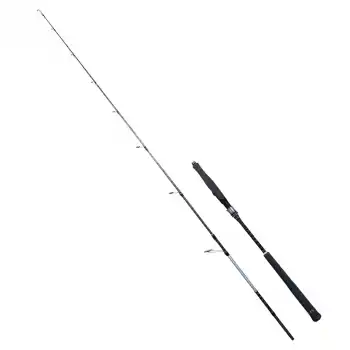 RYUJI SEAWOLF PLUS FUJI 1.98M 150-250GR 2P JIG KAMIŞ