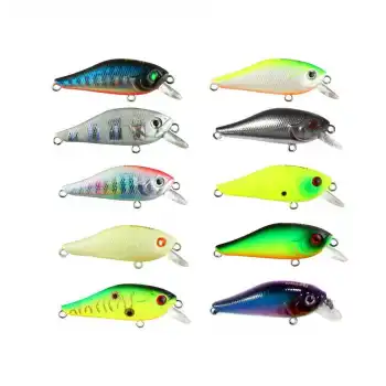 Usami Fury Shad 40F-SR 2.4 G Maket Balık