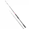 RYUJI SPECTRA SP 1.98M 70-300GR 2P BOT KAMIŞI