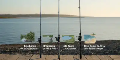 Spin Olta Kamışı Rehberi: Size En Uygunu Hangisi?