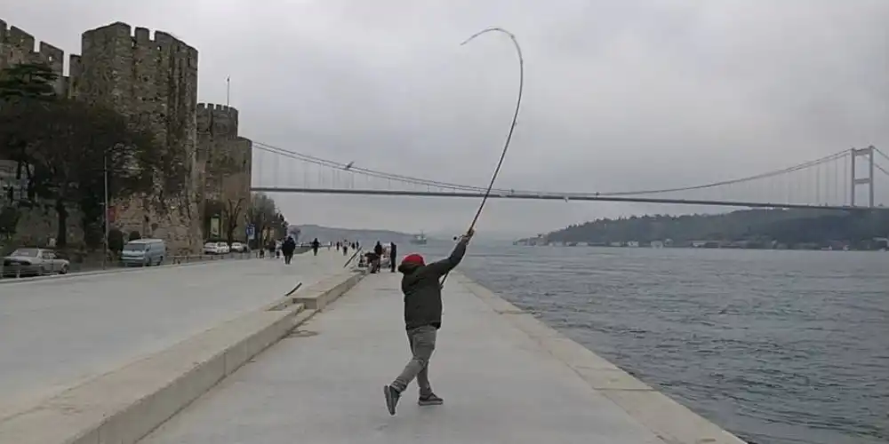 Surf Avi Nedir ve Nasil Yapilir?