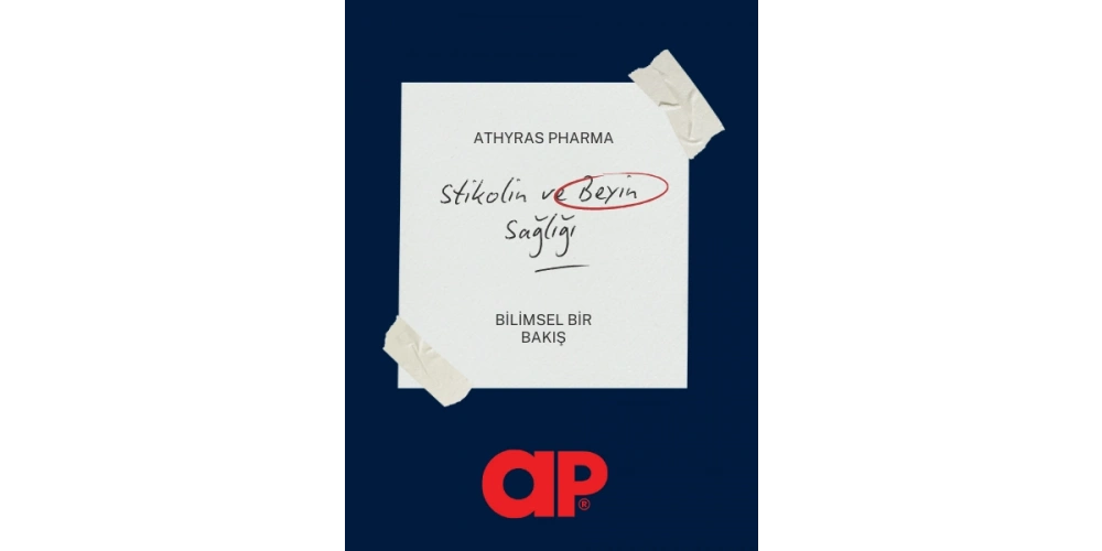 Stikolin ve Beyin Sağlığı : Bilimsel Bir Bakış