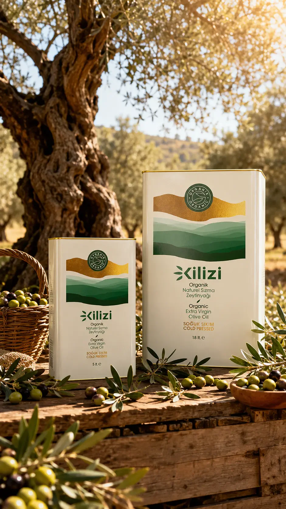 18 litre ve 5 litre organik zeytinyağı sertifikalı