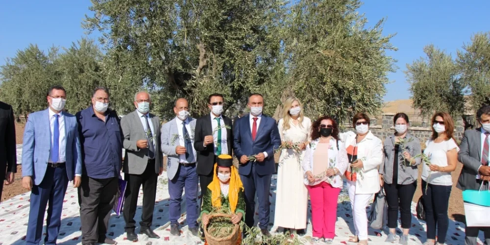 Zeytin ve Zeytinyağı Tanıtım Günü