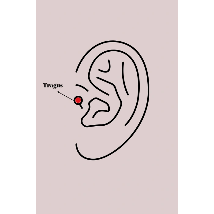 316L Çelik Gümüş Renk Zirkon Taşlı Kurdele Tragus Piercing