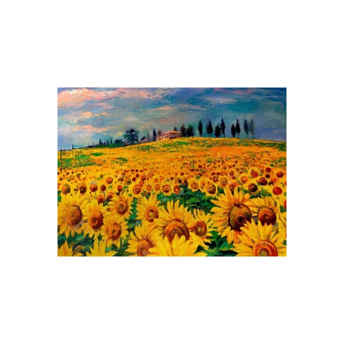 Ayçiçek Tarlası Canvas Tablo (50x70)