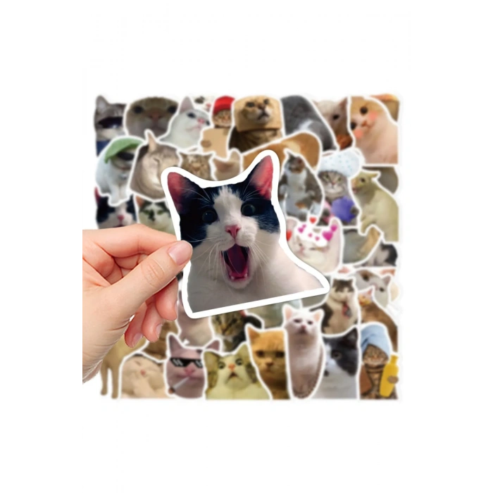 Çılgın Kediler Macbook Notebook Tablet Telefon Ajanda Laptop Defter Sticker Seti