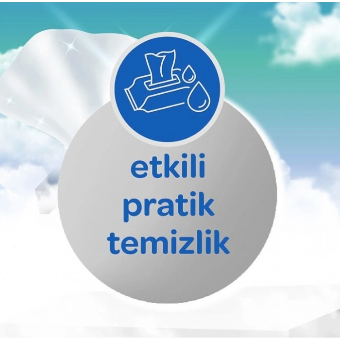 Dalin Hijyenik Islak Cep Mendil 3lü 15 Yaprak