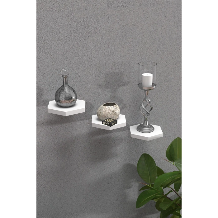 Duvar Rafı Dekoratif 3 Adet Çiçeklik Altıgen Beyaz