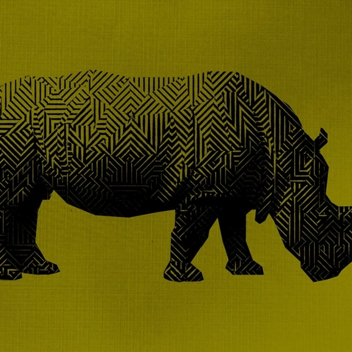 Gergedan , Hipopotam Soyut Çalışma Kanvas Tablo 50 x 70