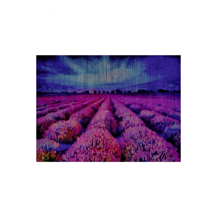 Mor Çiçek Tarlası Canvas Tablo (50x70)