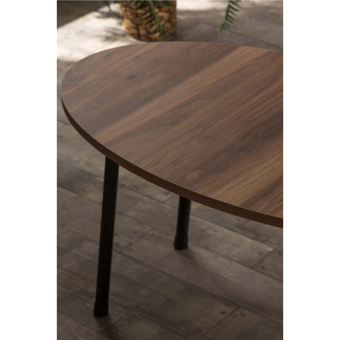 Orta Sehpa Metal  Ayak Elips Ceviz