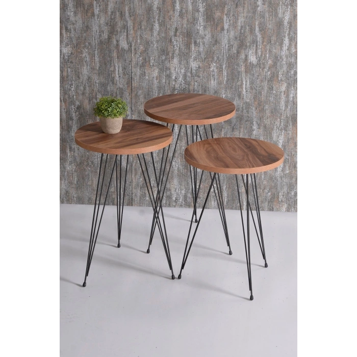 Orta Sehpa Ve Zigon Sehpa Ceviz Set Tel Ayak Elips