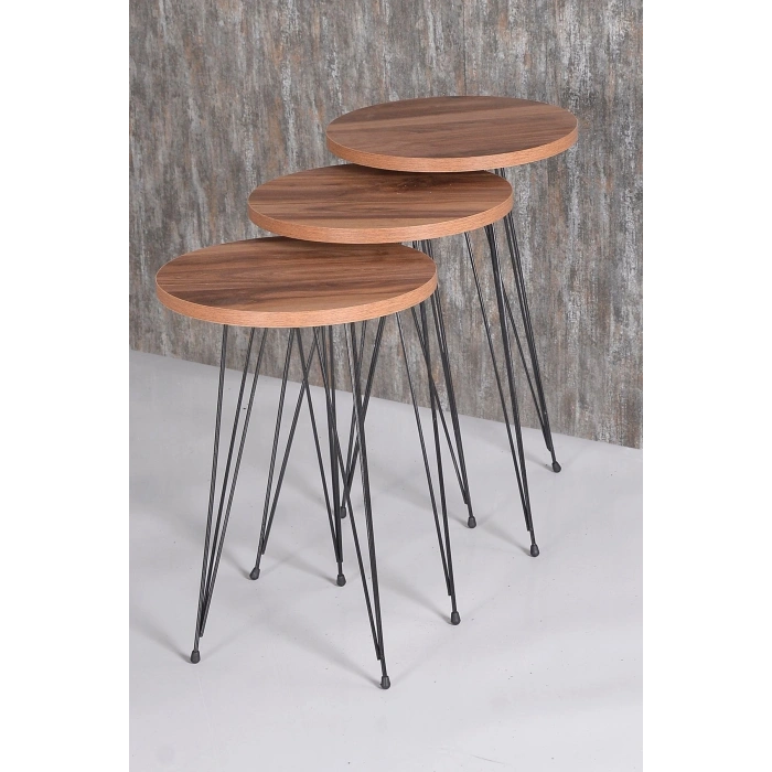 Orta Sehpa Ve Zigon Sehpa Ceviz Set Tel Ayak Kr