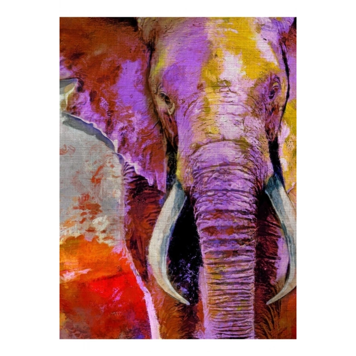 Safari Canvas Tablo (50x70)