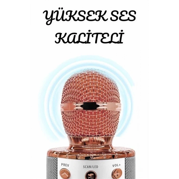 Şarjlı ve Uzun Pil Ömürlü Karaoke Mikrofon USB Bellek Destekli, Profesyonel Ses