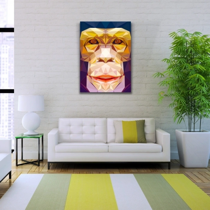 Soyut Maymun Figürü Kanvas Tablo 50 x 70