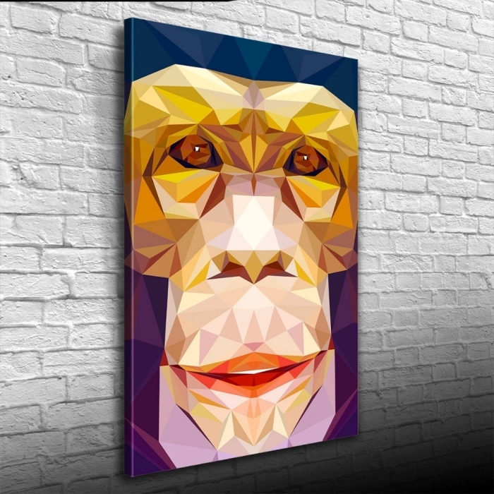 Soyut Maymun Figürü Kanvas Tablo 50 x 70