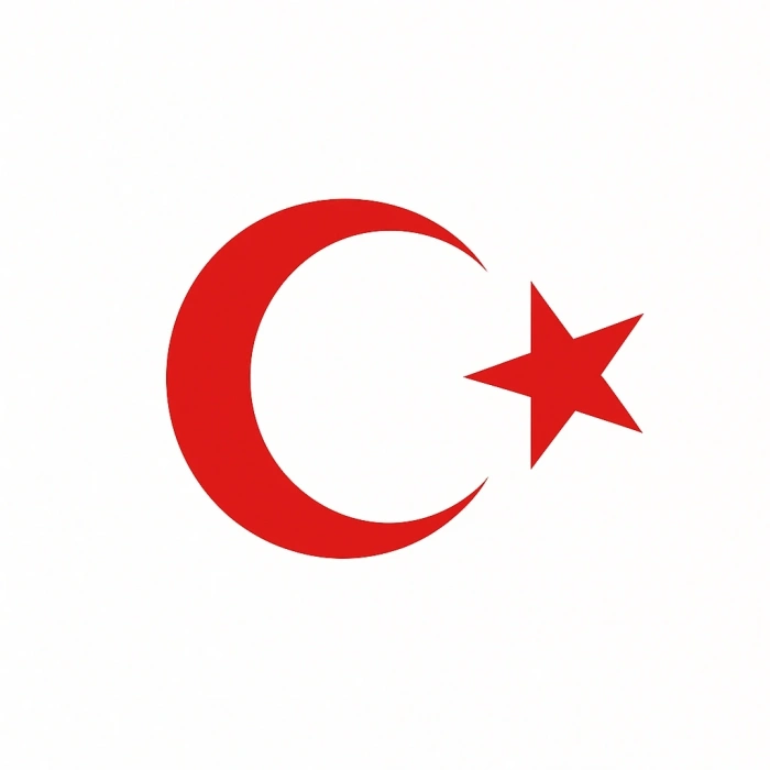 Türk Bayrağı Oto Sticker Kırmızı 23x17 cm