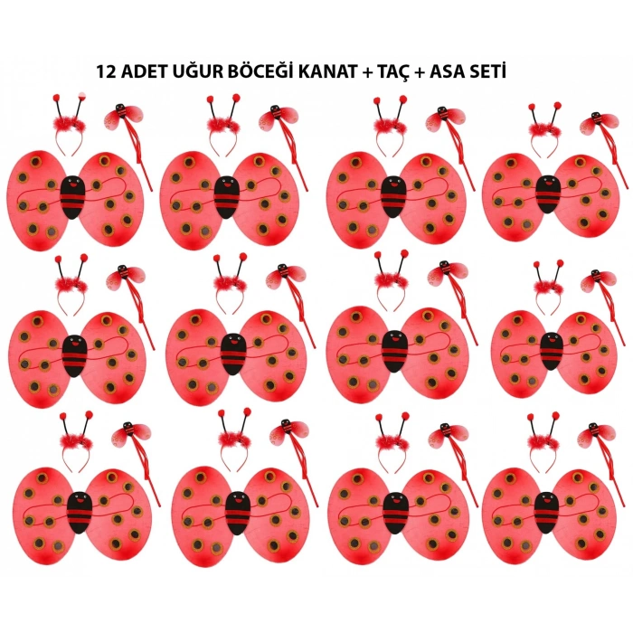 Uğur Böceği Kostüm Seti - Kanat, Taç, Asa 12 Adet