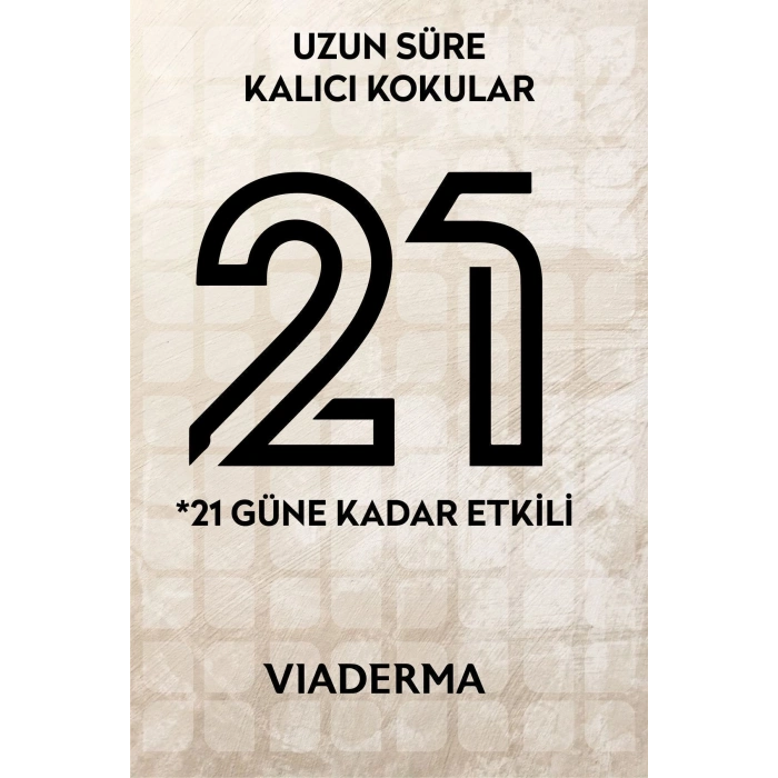 Viaderma Kare Şişe Çarkıfelek Esansı Bambu Çubuklu Oda Kokusu 100 ml