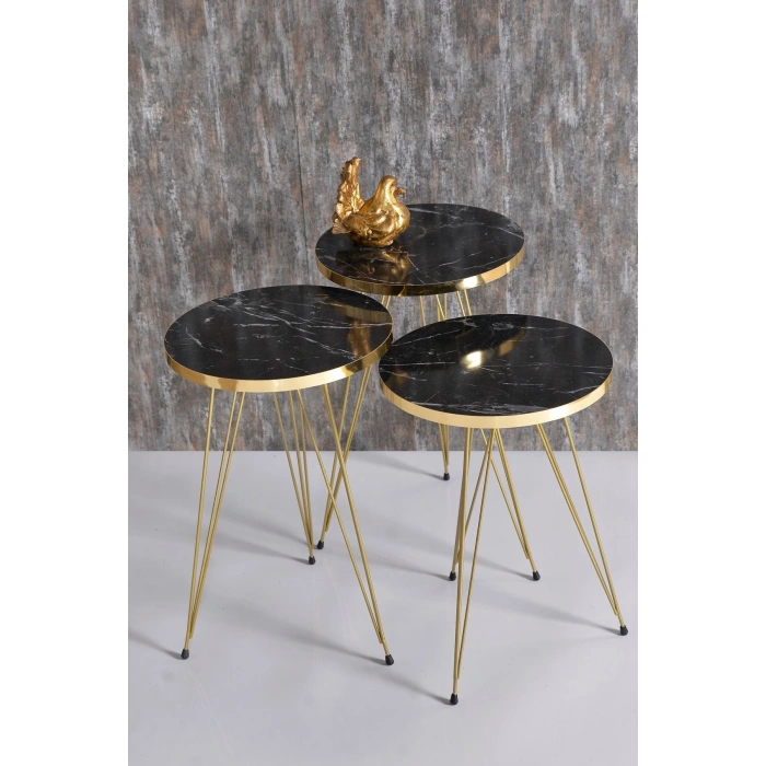 Zigon Sehpa Gold Bendir Tel