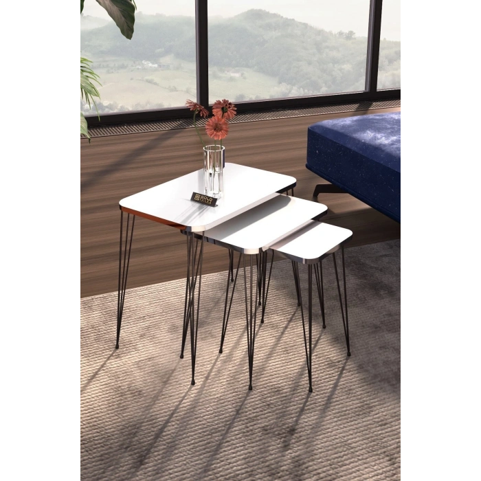 Zigon Sehpa Kr Gümüş Beyaz Tel Siyah Ayak