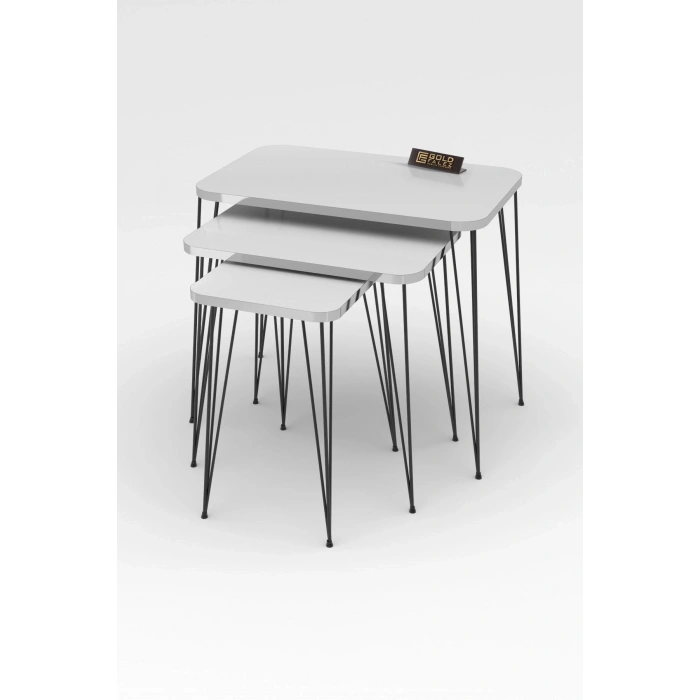 Zigon Sehpa Kr Ve Orta Sehpa Kr Set Gümüş Beyaz Tel Ayak Siyah