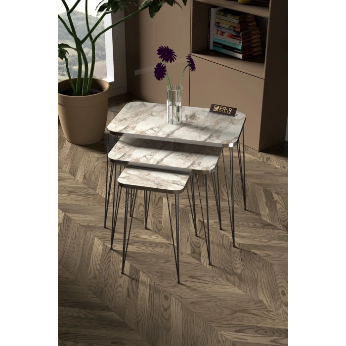 Zigon Sehpa Kr Ve Orta Sehpa Kr Set Gümüş Efes Tel Ayak Siyah