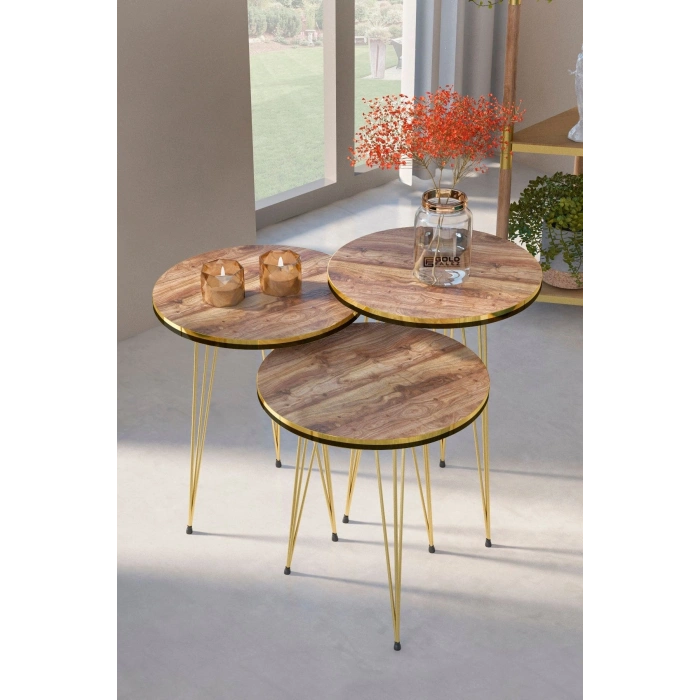 Zigon Sehpa Ve Orta Sehpa Elips Set Çift Gold Ceviz Tel