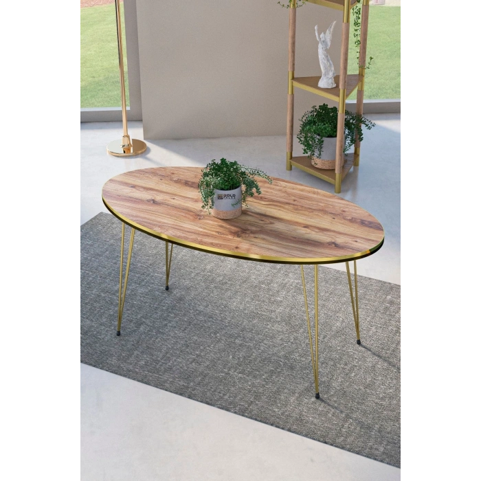 Zigon Sehpa Ve Orta Sehpa Elips Set Çift Gold Ceviz Tel