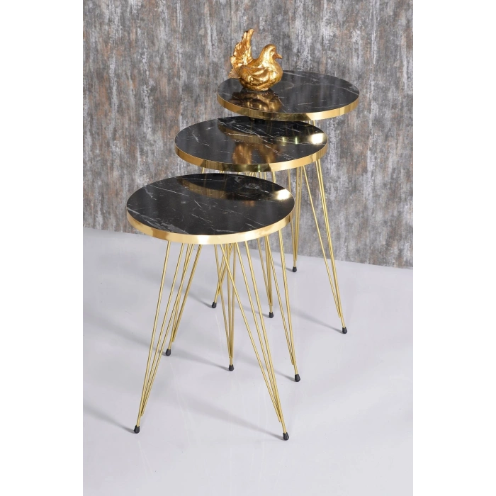 Zigon Sehpa Ve Orta Sehpa Kr Set Gold Bendir Tel