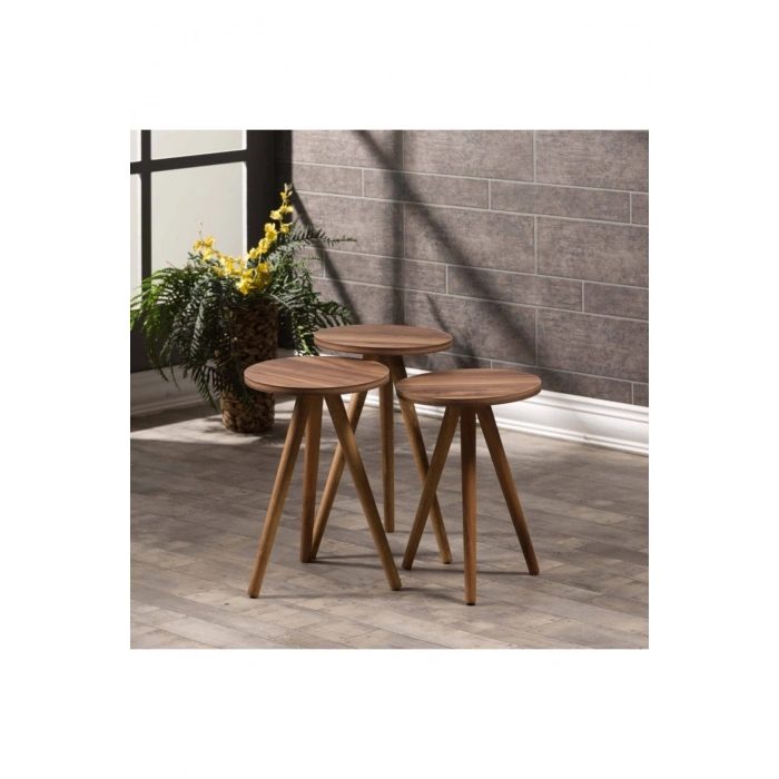 Zigon Sehpa Ve Orta Sehpa Kr Torna Ceviz Set 3006