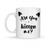 Are You Kitten Me? Yazılı Kedi Temalı Porselen Kupa MODEL 58 Sevimli Tasarım, Kahve & Çay Kupası