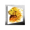 Aslan Kral Canvas Tablo (50x70)